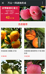 万众一网通微商城